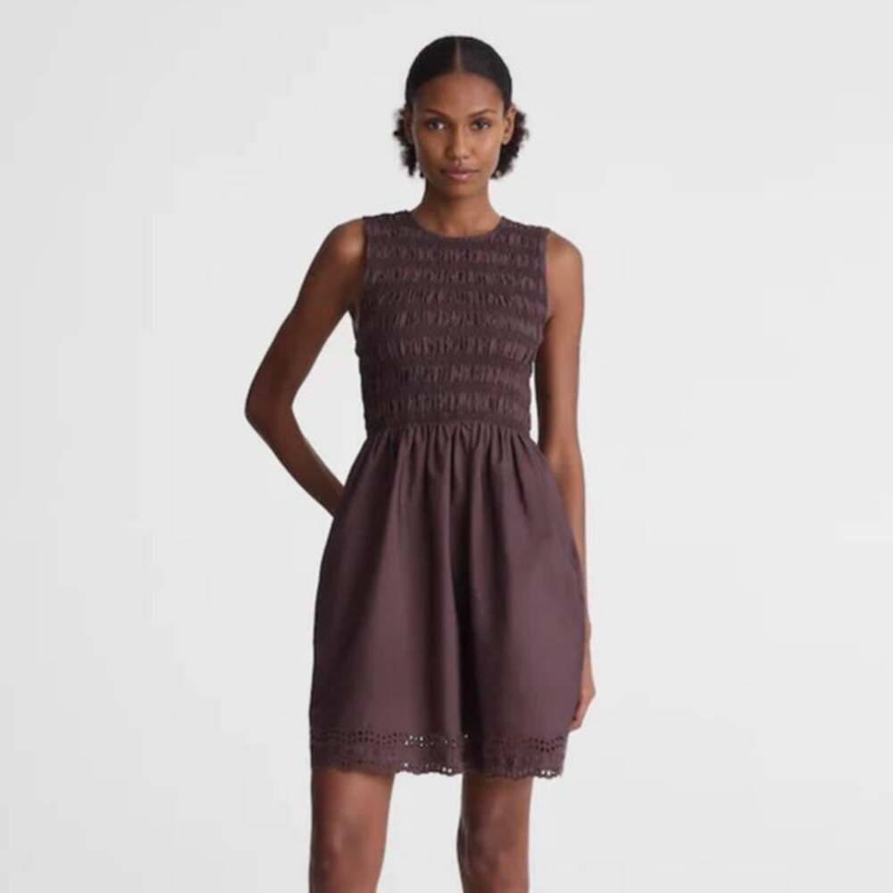 Madewell The Embroidered Melody Smocked Mini Dress Chocolate Plum Size Small NWT